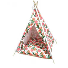 TENDA CITRUS TEPEE 